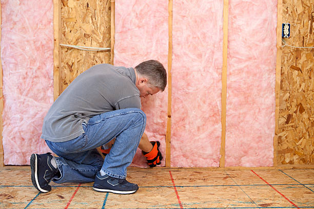 Best Types of Insulation in Bromley, KY